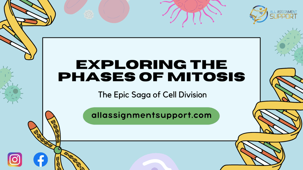 exploring the phases of mitosis