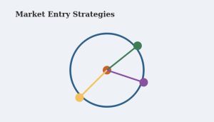 Flat vector illustration of a central circle with radiating lines to smaller circles representing different market entry strategy paths
