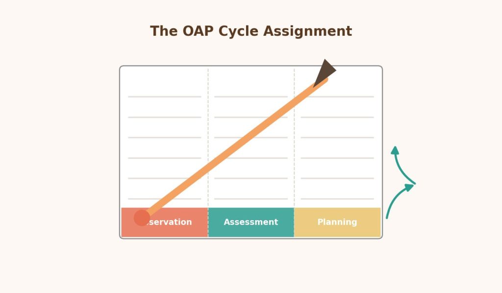 Illustration of an assignment sheet divided into observation, assessment, and planning sections, representing a CACHE Level 3 OAP cycle assignment template.