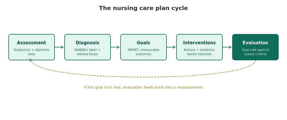 the five-stage care plan cycle with feedback loop, embedded right after the intro.