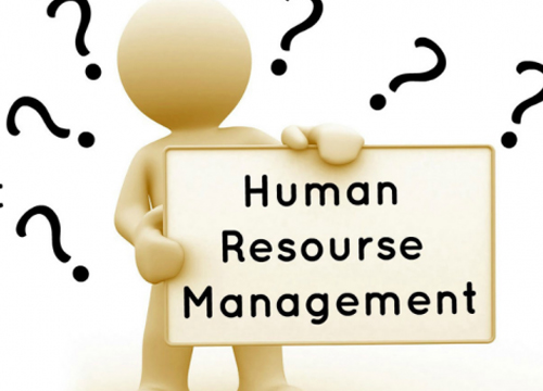 Human Resource Assignment Help